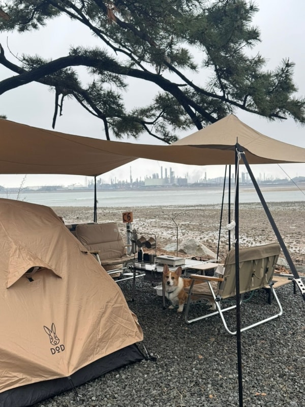 서산벌천포캠핑장 / C6사이트 / 바다뷰 캠핑장 / 애견동반캠핑