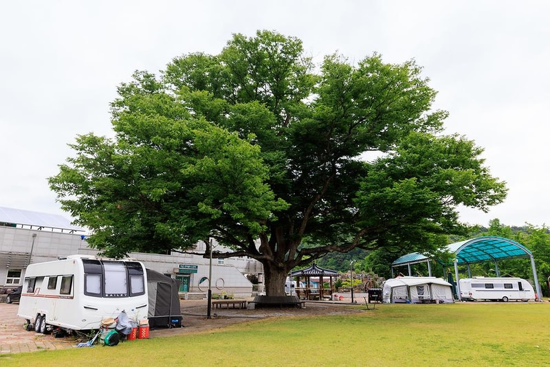 웰니스 권역 야영장 시설 사진 7