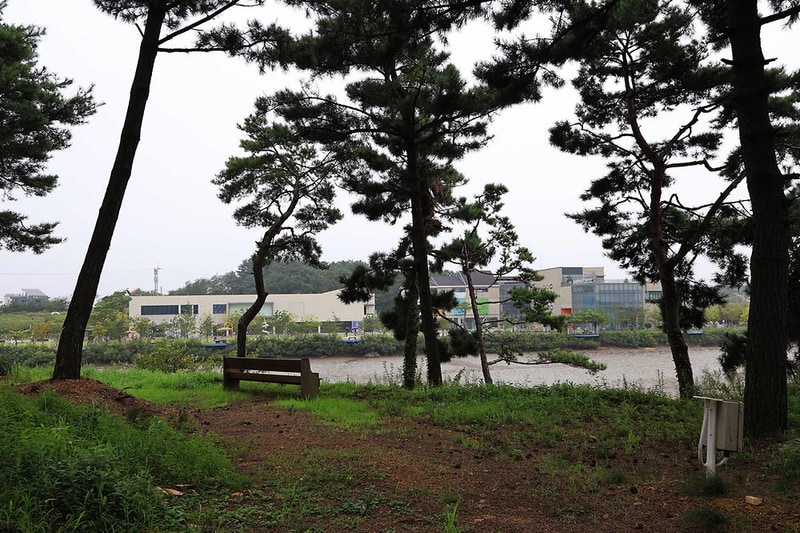 대부도 아라뜰 캠핑장 시설 사진 19