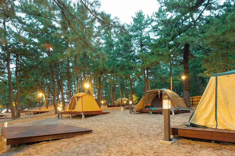 맹방 비치캠핑장 시설 사진 31