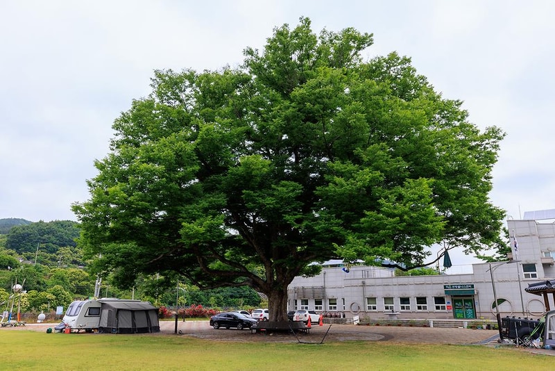 웰니스 권역 야영장 시설 사진 8