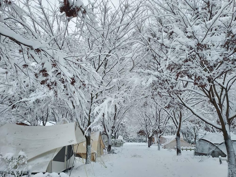 횡성산울림오토캠핑장 시설 사진 21