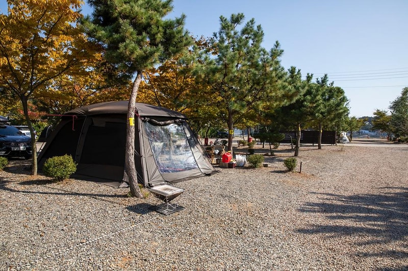 선재오토캠핑장 시설 사진 15