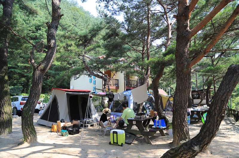 엄둔솔밭빌리지 시설 사진 5