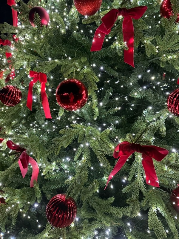 2 - [ 사천 에이디디 관광농원 캠핑장 ]