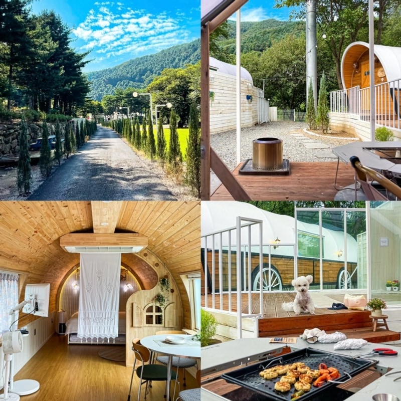 가평 글램핑 애견동반 개별마당 아이섬 풀글램핑 웨스턴 리버