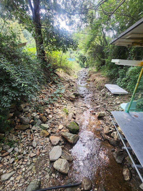 송현 캠핑장 대표 사진