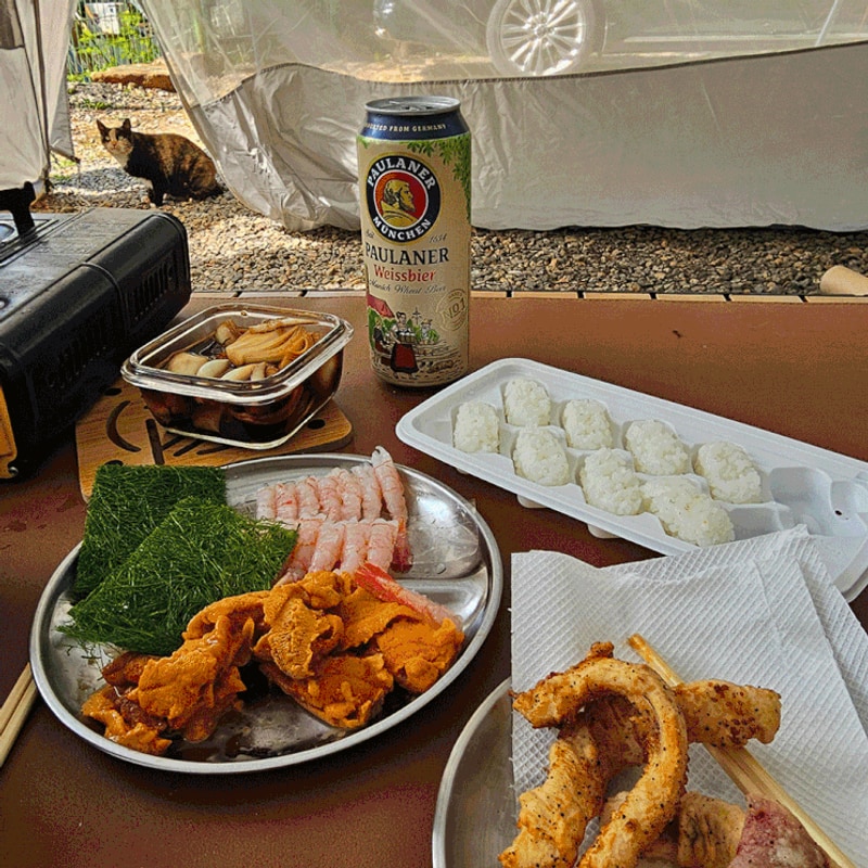 [경기도/파주] 기산캠프｜밤하늘 이쁜 데이트 추천 마장호수 옆...