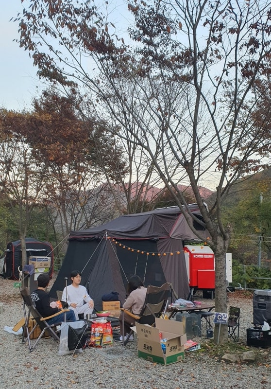 "완주 예원캠핑장, 반려견과 함께하는 가을 캠핑 리뷰!"