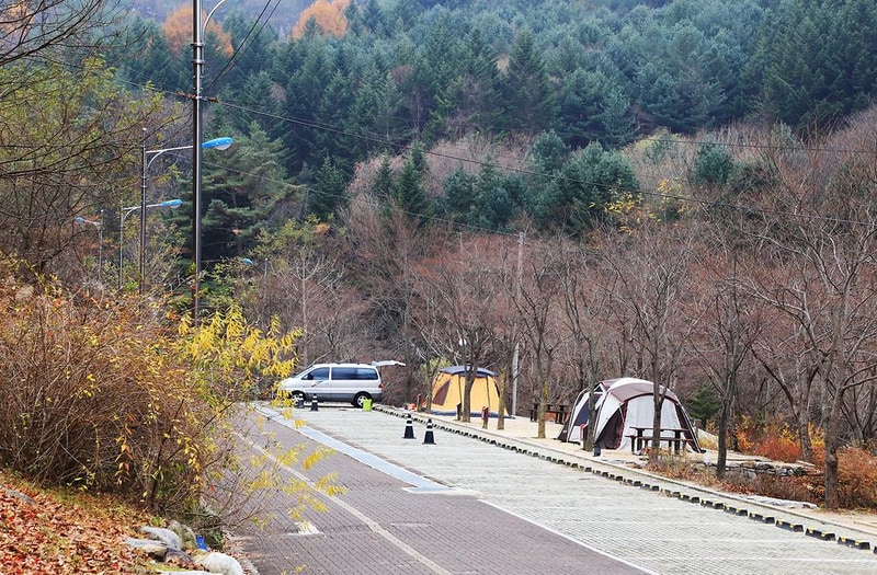 구룡자동차야영장(치악산국립공원) 시설 사진 10