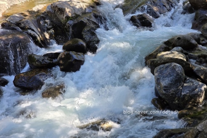 남원 지리산 뱀사골 계곡 물놀이 주차 뱀사골야영장 정보
