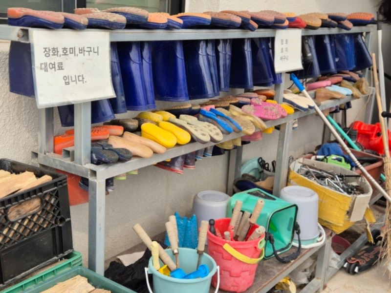 경남캠핑장추천 n번째 방문 사천비토솔섬오토캠핑장 내돈내산...