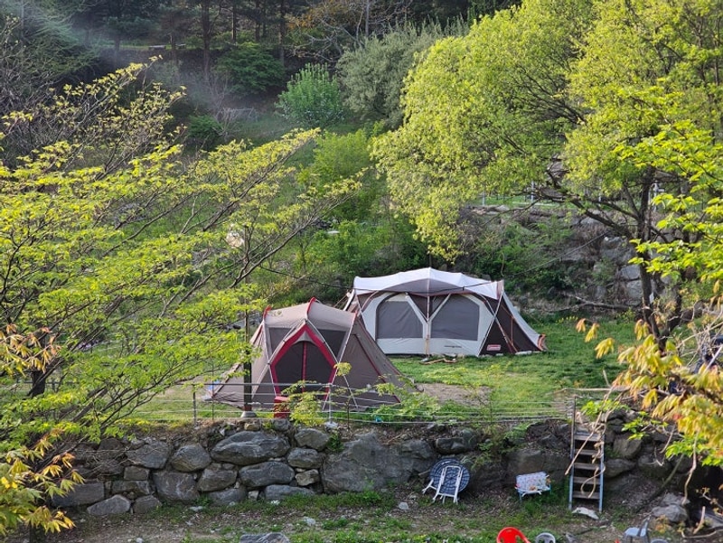 천안 트리하우스 캠핑장