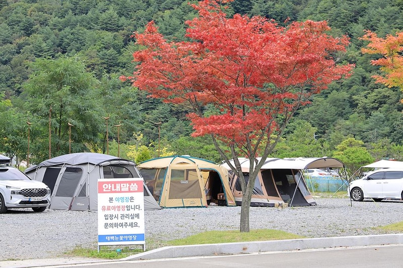 태백 눈꽃 야영장 시설 사진 18