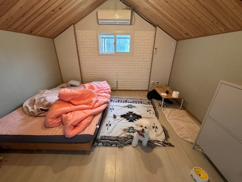 괴산 애견캠핑 개차반캠핑장 글램핑 마하동 2박 후기