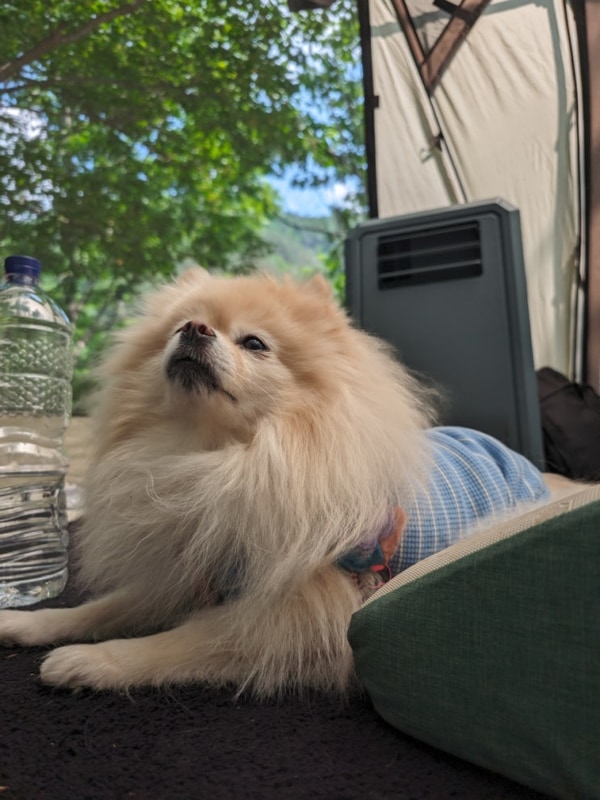 브리즐에어컨 첫 개시 !!  양양 골짜구니 캠핑장!!