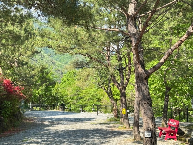 [4] 홍천캠핑장 계곡이 있는 검산별빛캠핑장!