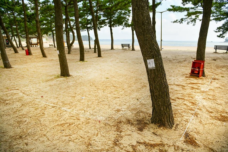 연포제1야영장 시설 사진 5