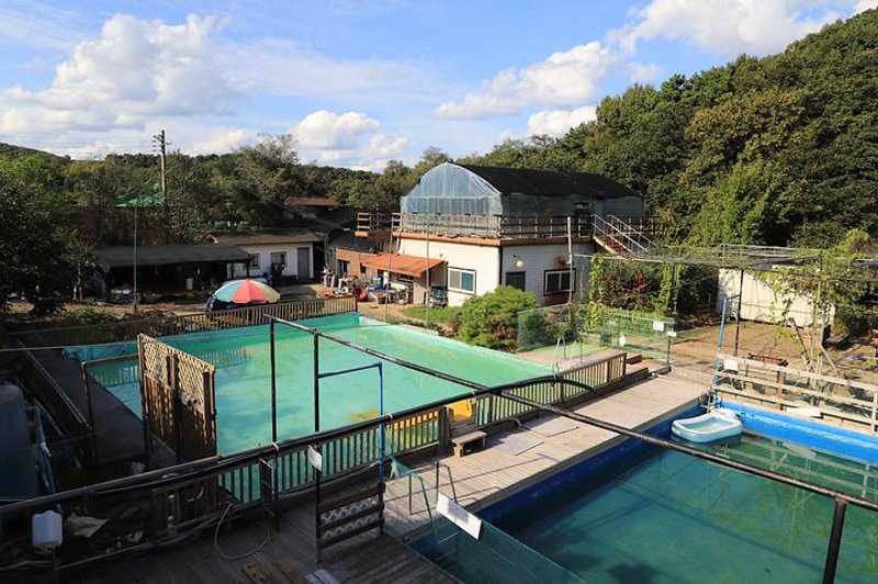 봉바위농원 대표 사진