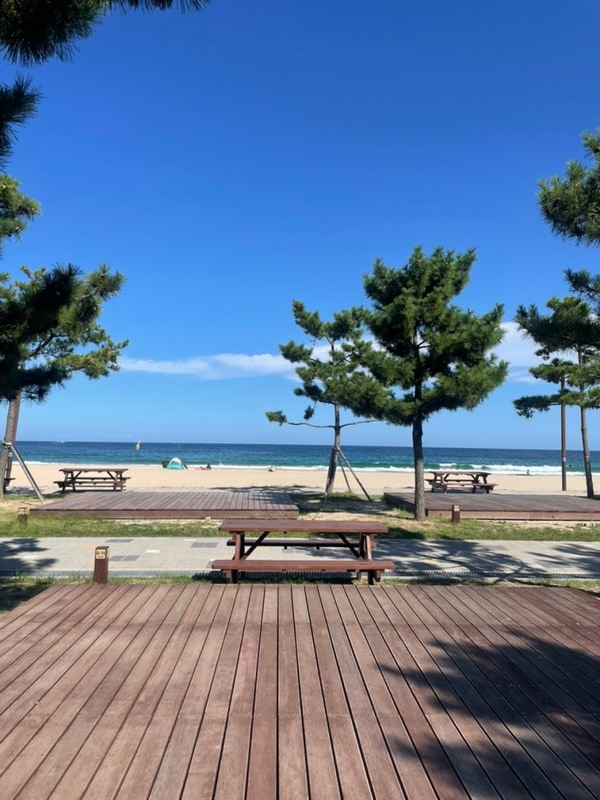 고성 송지호 해수욕장 오호캠핑장 B19