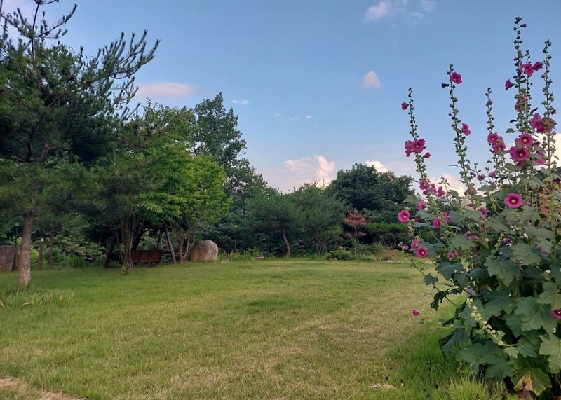 소백산자연누리야영장 시설 사진 7