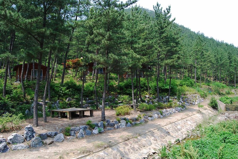 희리산 해송자연휴양림 일반야영장 시설 사진 7