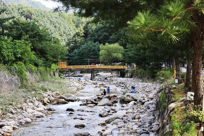 산정호수 돌고래 캠핑장 시설 사진 2