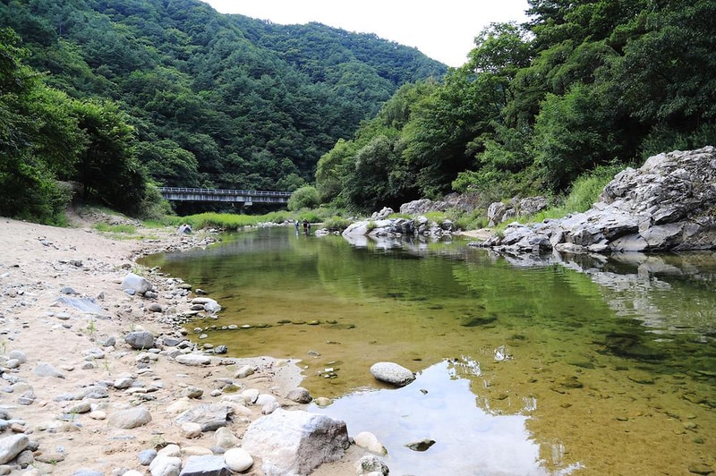반디하우스캠핑장 시설 사진 3