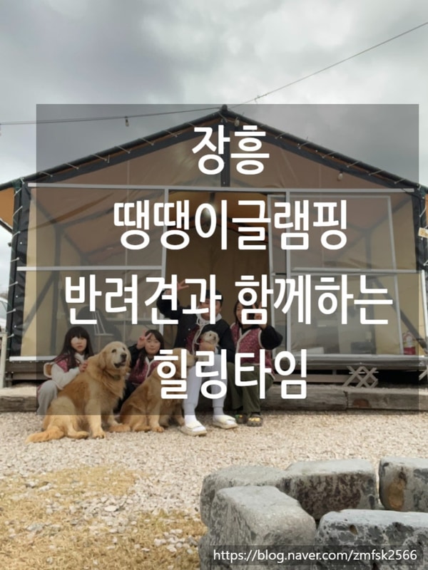 반려견과 함께 하는 겨울 글램핑! 장흥 땡땡이글램핑