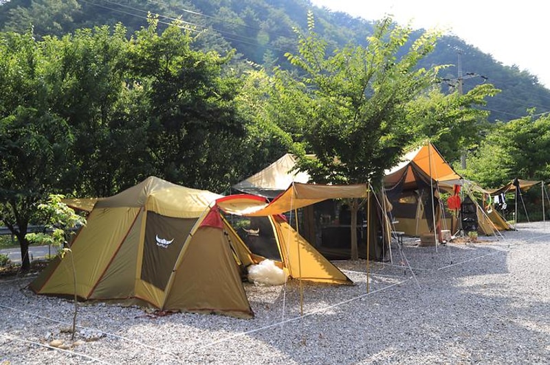 내리금봉캠핑장 대표 사진