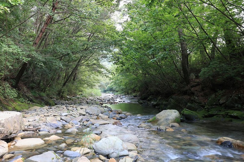 600마지기 가는길 야영장 시설 사진 18