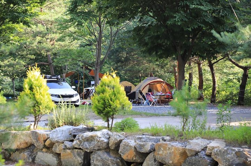 영월캠프 대표 사진