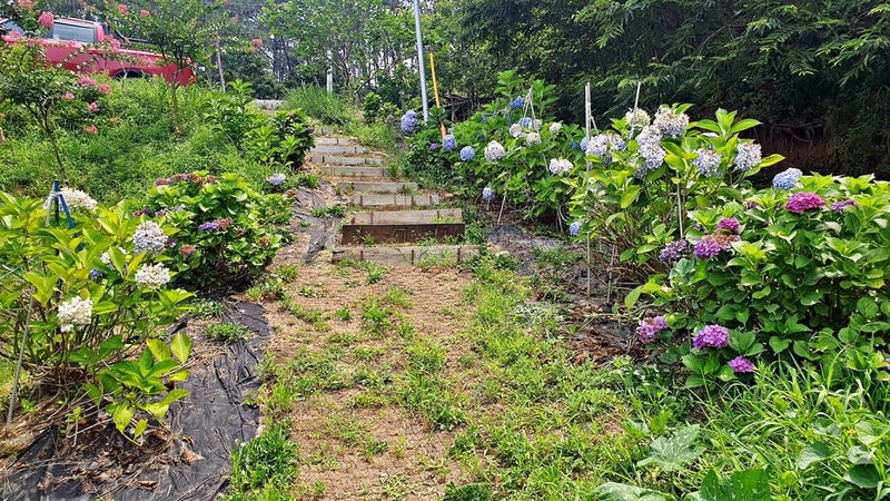 피구지 관광농원 시설 사진 8