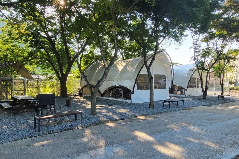 Y글램핑 시설 사진 13