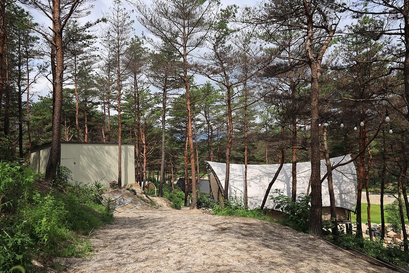 속초 밤하늘글램핑 시설 사진 1