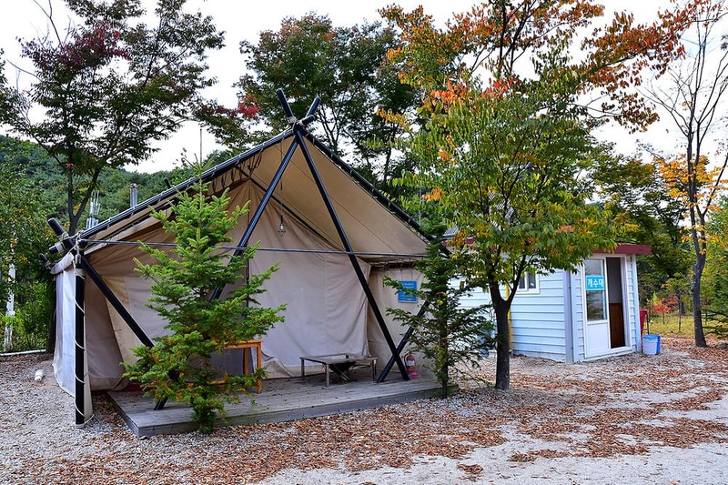 자일랜드 시설 사진 7