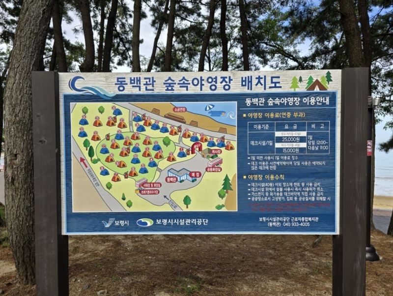 [충청남도 보령] 바다와 별과... 캠핑장, 용두해수욕장숲속야영장