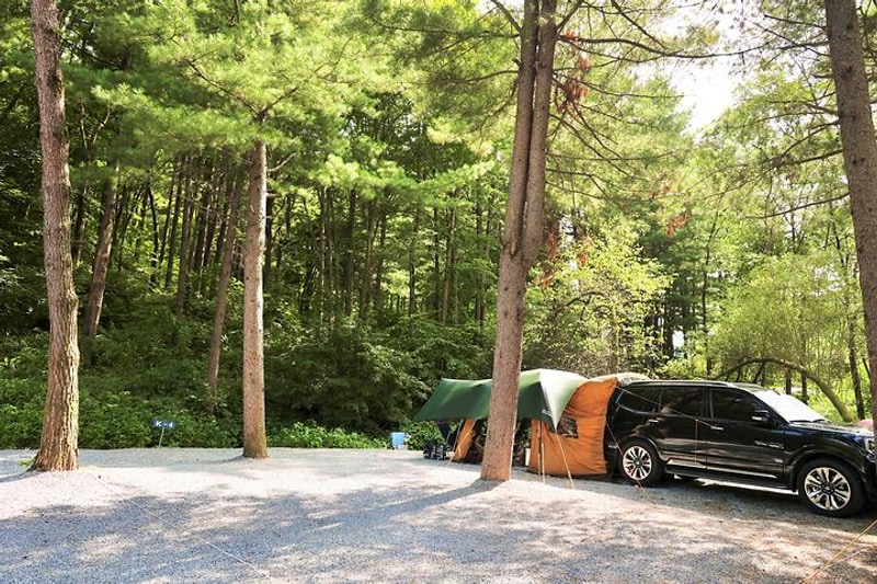 계방산 오토캠핑장 대표 사진