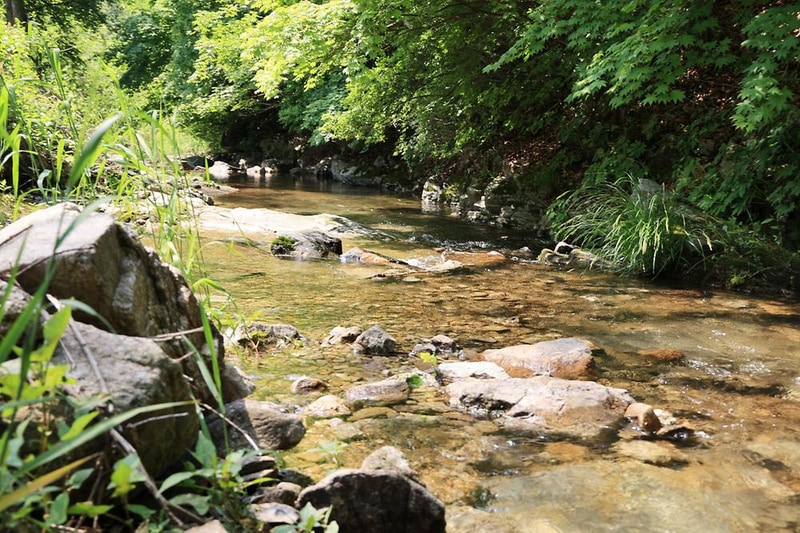 굿나잇 캠핑장 시설 사진 9