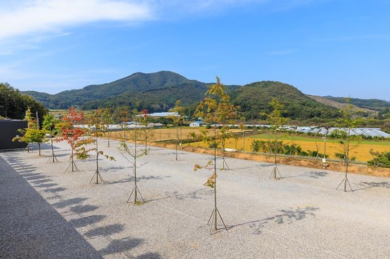 진천포레스트캠핑장 대표 사진