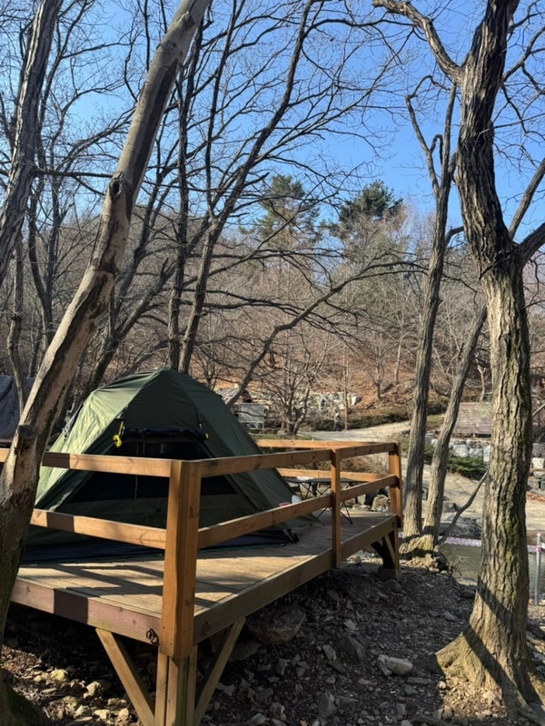 양산 대운산자연휴양림 야영장 전기데크 명당자리 후기