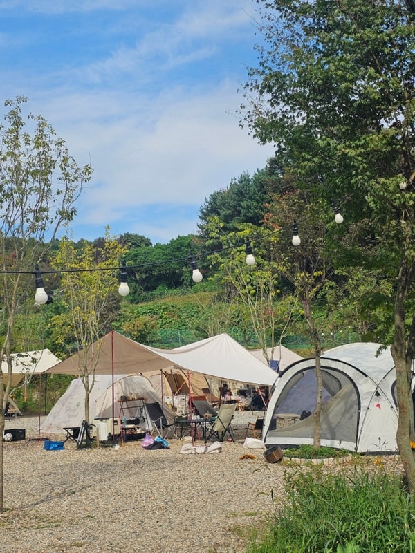 EP.28 그린바움캠핑장 여주