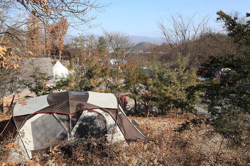 신화가족목공체험 캠핑소 대표 사진