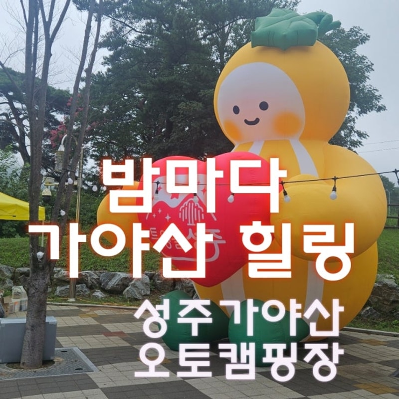 성주 가야산 오토캠핑장 _ 밤마다 가야산 힐링 행사장 소개