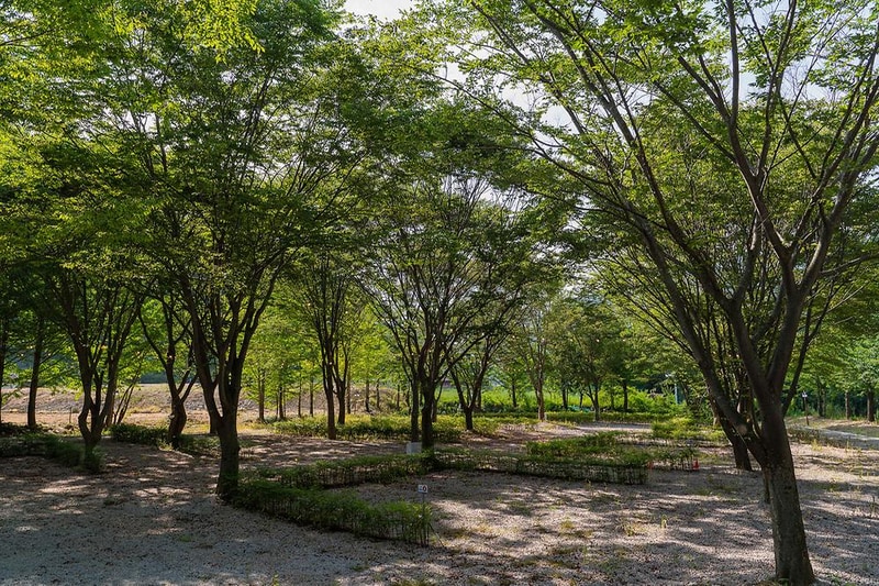 가리왕산 정원 캠핑장 시설 사진 3