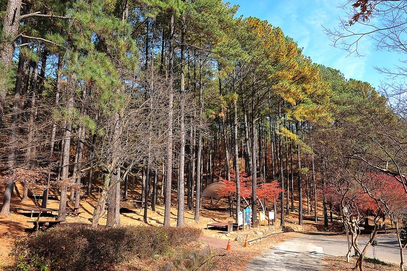 백운산 자연휴양림 자동차야영장 시설 사진 4