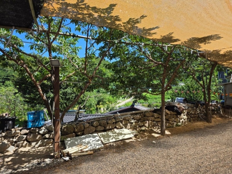 자연과 어우러져 즐기기 너무 좋은 군위 솔밭야영장