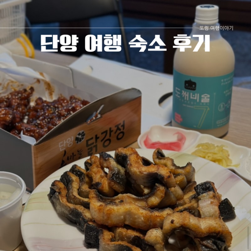 단양 숙소 파인카라반 캠핑장 장어구이 후기