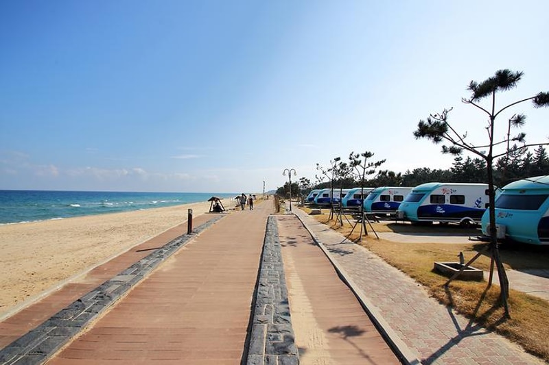 망상오토캠핑리조트 대표 사진