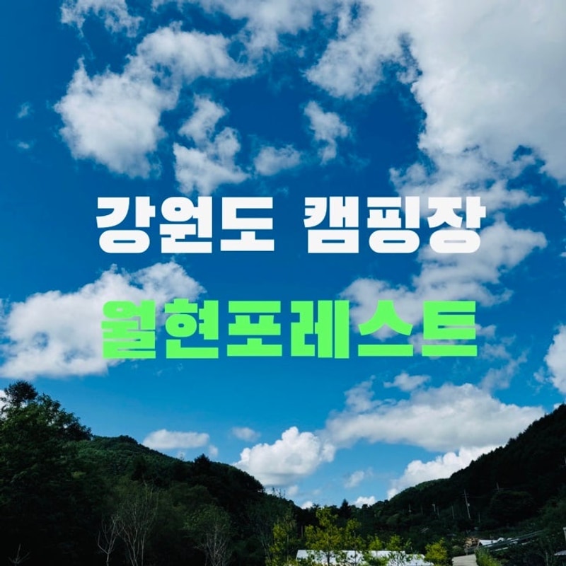 강원도 횡성 캠핑장 월현포레스트, 국내 루지 최장 코스...